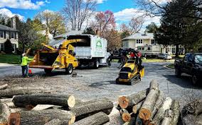 Best Utility Line Clearance  in Warr Acres, OK